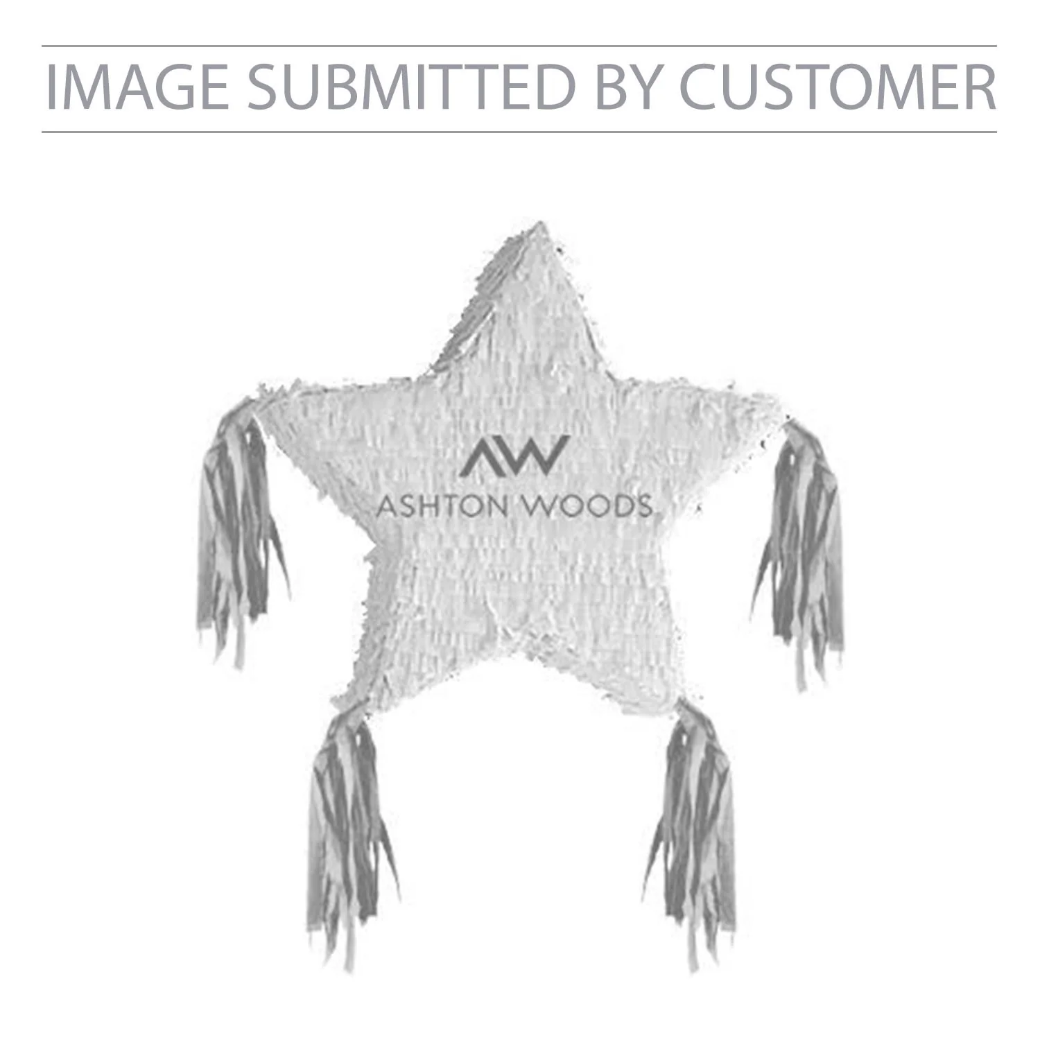 Ashton Woods Star Custom Pinata - Image 2
