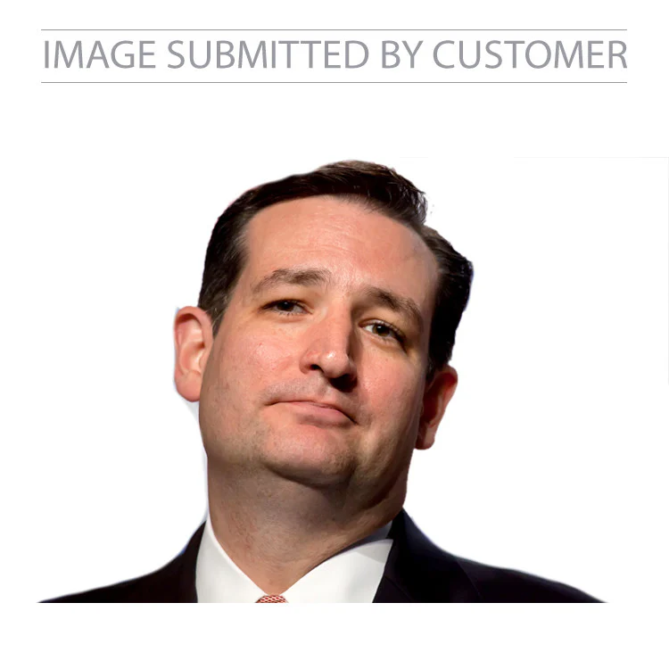 Ted Cruz Custom Pinata - Image 2